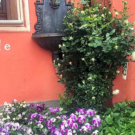 Bed & Breakfast Il Girasole Cuneo